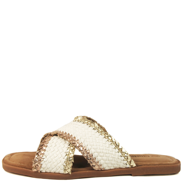 CRINKLES 241 C43 03