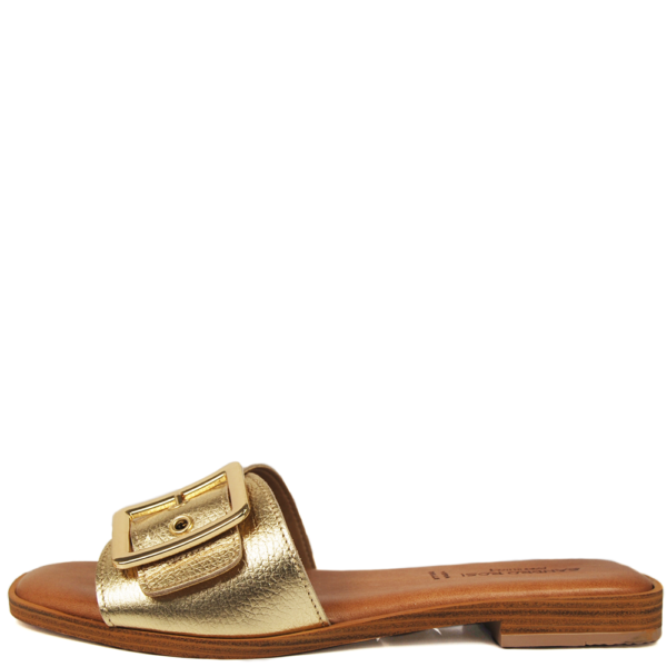 SANDRO ROSI 4063