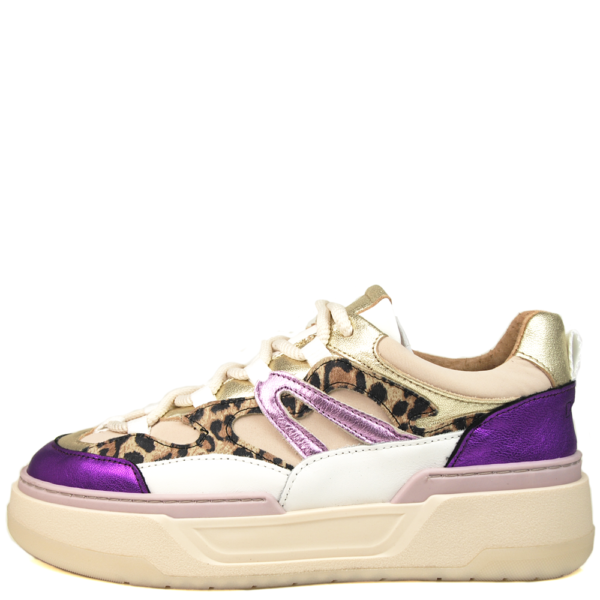 DWRS Walton Leopard