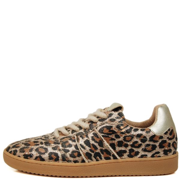 DWRS Poona Leopard